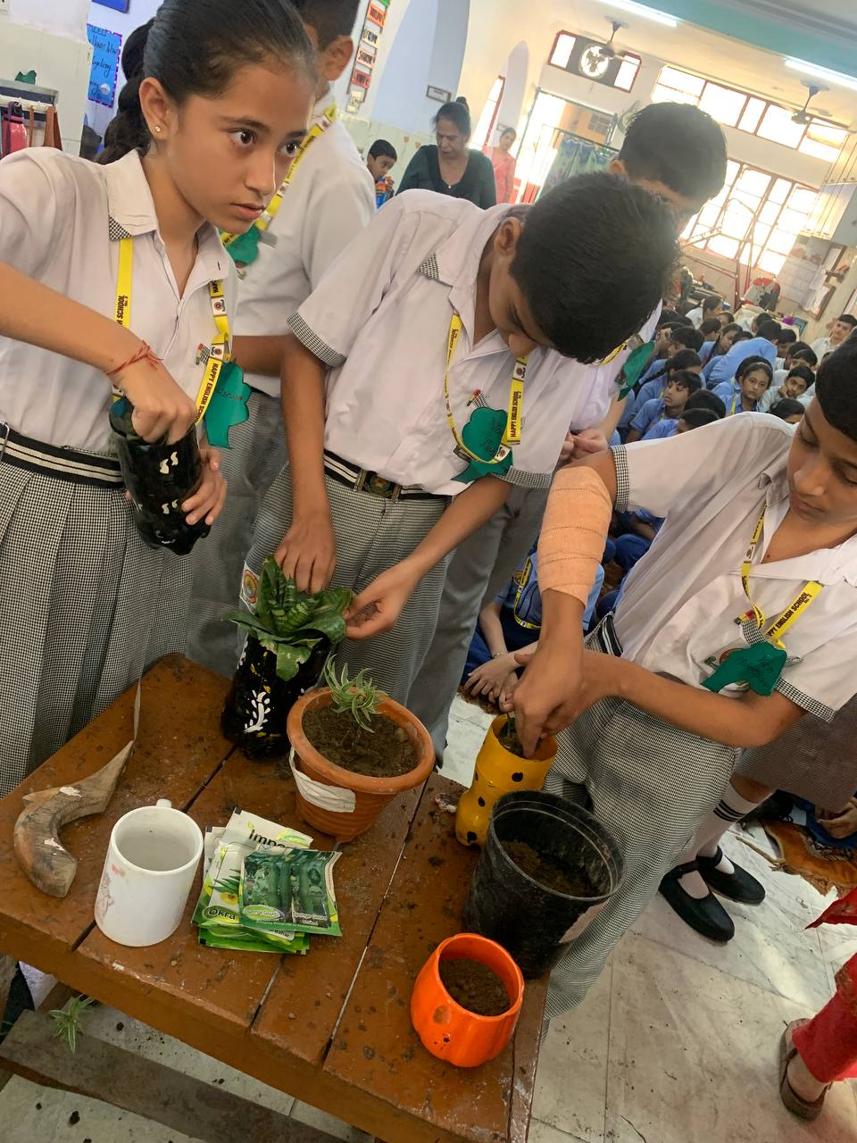 Image 10